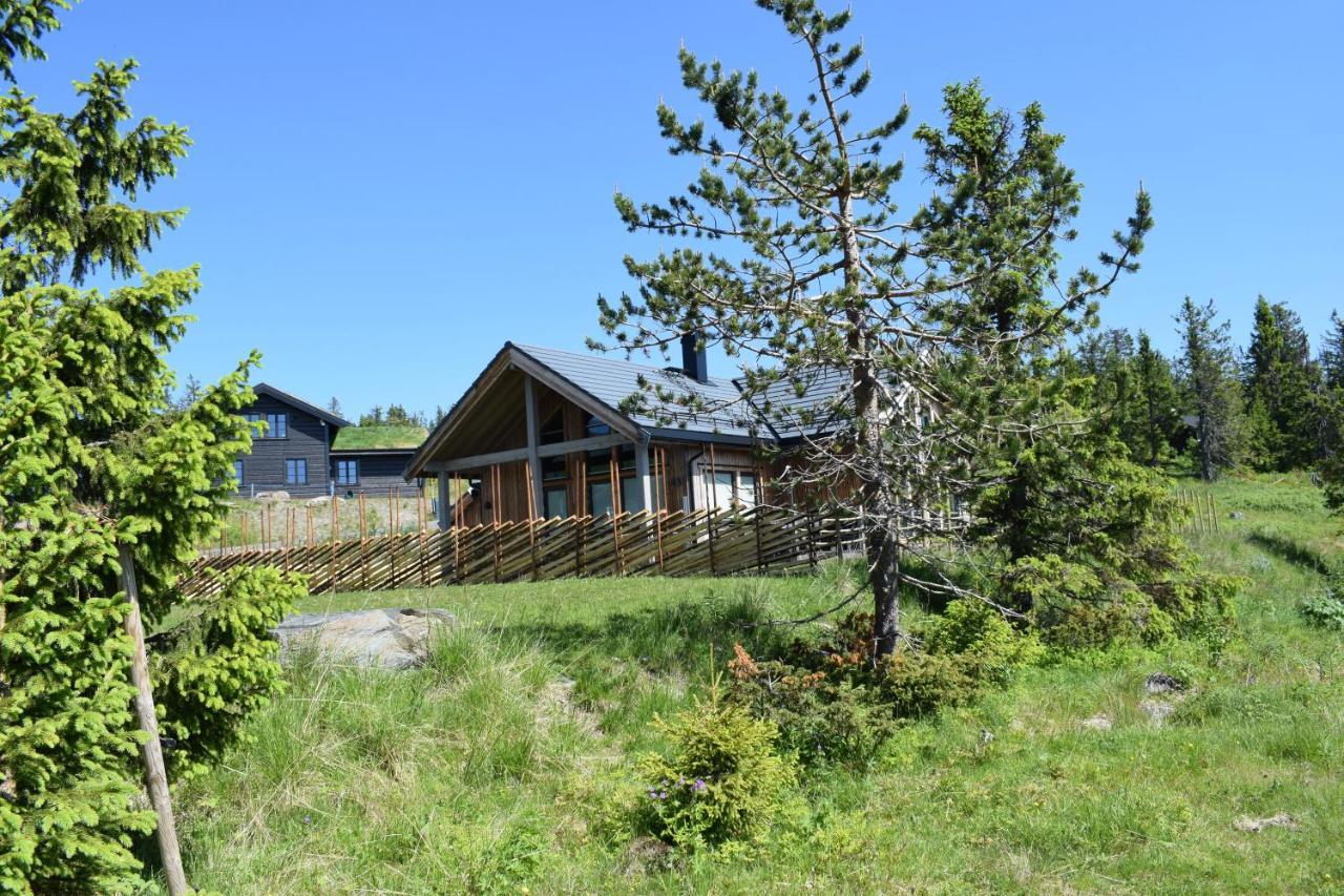 Skeikampen Booking Svingvoll Exterior foto